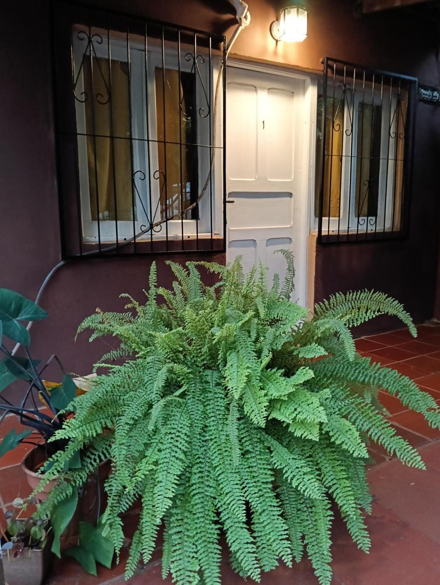 Residencial Los Pinos Puerto Iguazú Zewnętrze zdjęcie